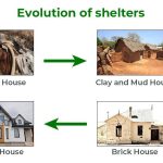 The Enduring Evolution of the House: A Reflection of Human Civilization Evolution-of-shelters